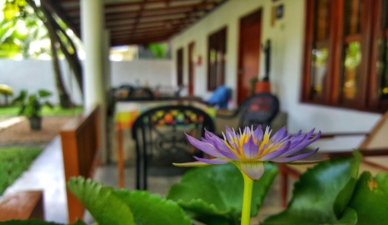 Luvi Lucas River Side Weligama Zewnętrze zdjęcie